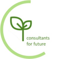 consultants for future