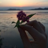 陈敏霞