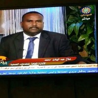 Jalal Hamdy