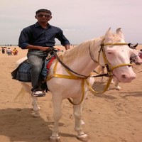 Kn Singh
