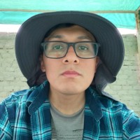 LUIS JESUS FORONDA GAMARRA