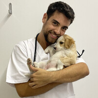 Sérgio Alves
