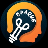 OPAQUE ENERGY SOLUTION