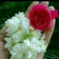 Shakeel Ahmed