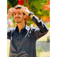 Waleed Shahzad
