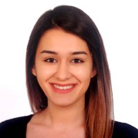 Şina Ertoğrul