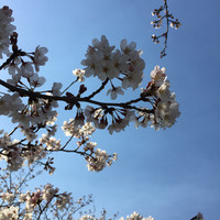 潘芬芬