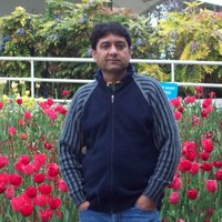 Monal Vinchhi