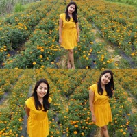 Dayu Ami