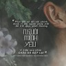 Văn Thị Quỳnh Anh