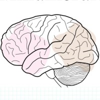 Mind Morale
