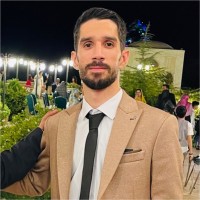 Peyman Pourmassahian Tafti