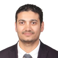 Ali Mansour, MSc, CFE, JCPA
