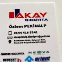 Özlem Cabbar PEKİNALP