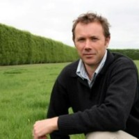 Stephen Williams