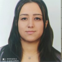 Elif Zileli