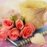 adel mohd