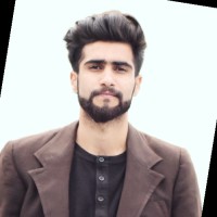Hamad Gull