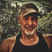 Gray Walsh