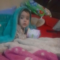 Saad Hamdy