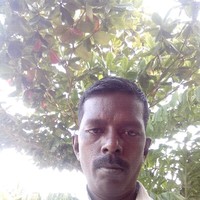 Rajasekaran Rajasekaran