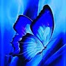 Swetha GP