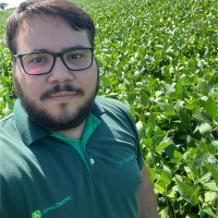 Pedro Henrique Gomes De Carvalho