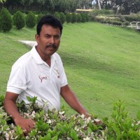 Kashinath Guchait