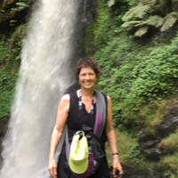 Judy Gross