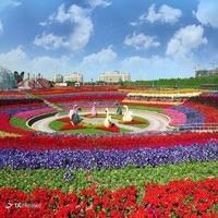 afsaneh zarei