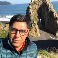 Gustavo Carrillo (MAS Consultores)