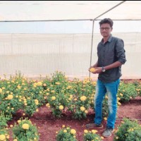 Ayyanagouda Halemani