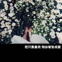 陈满辉