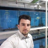 Soheil Panahi