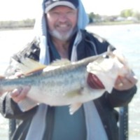 Mike Forrest