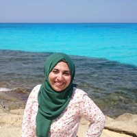 Dina Mohamed