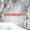 Métro Buzz