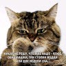 Илья Михайлов