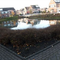 Willem Ijzelenberg