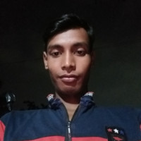 Biswajit Roy