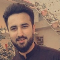 malik zia