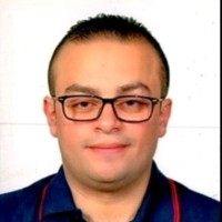 Wael Abdel Hamid