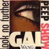 Teri Rees Wang