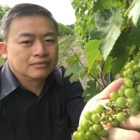 Alan Kok