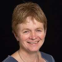 Els Schrijver - Kleine Koerkamp