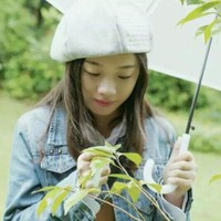 刘春花