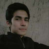 Lenin Vladimir Félix Torres