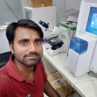 Yashvir Kumar