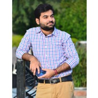 Muhammad Hamza Hameed
