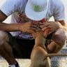daniel s